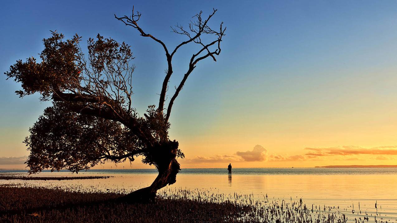 smallrocket怎么支付  ( 2022年最新IOS苹果抖音国际版免拔卡tiktok安装教程! ) - 55dz账号网