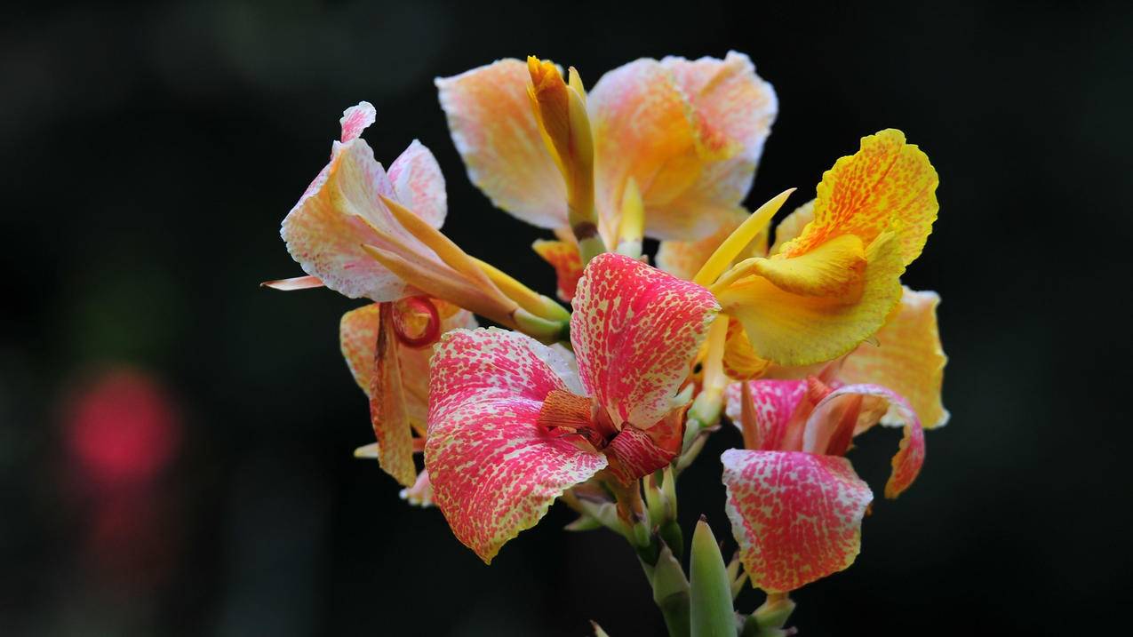 恢复notability误删的笔记_notability恢复删除的笔记 - IOS分享 - 55dz账号网