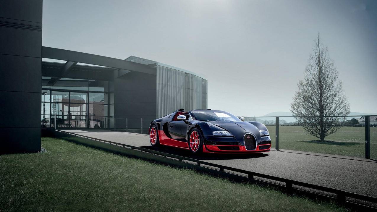 不小心买了app怎么退款 ， 苹果手机退款流程手机怎么操作  - 55dz账号网