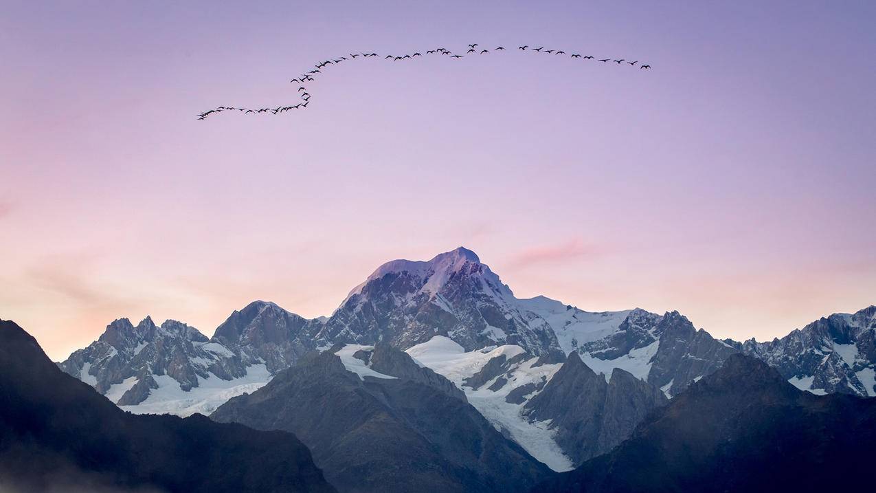 clash加速器更新失败怎么办_clash 加速 - clash相关 - 55dz账号网