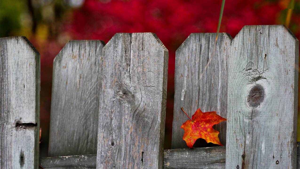 创建台湾苹果id的时候与服务器连接失败怎么办_iphone登入id显示连接服务器失败怎么办 - 台湾苹果ID - 55dz账号网