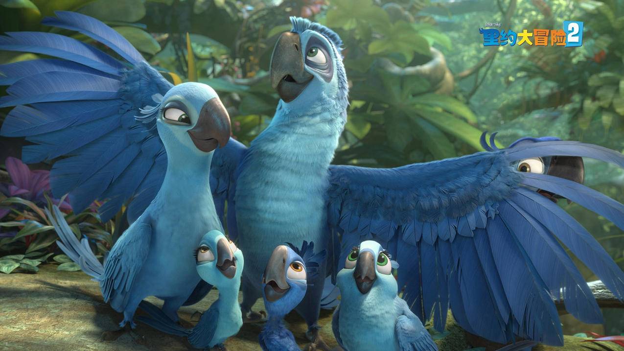 facebook推出的短视频_facebook app 视频 - facebook相关 - 55dz账号网