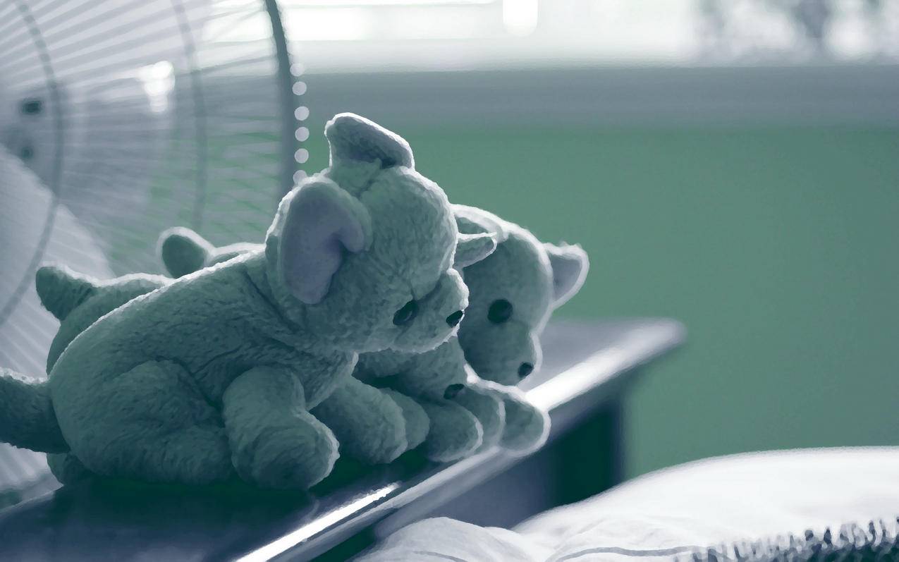 怎么知道自己注册了几个苹果id_苹果怎么查注册 - 美国苹果ID - 55dz账号网