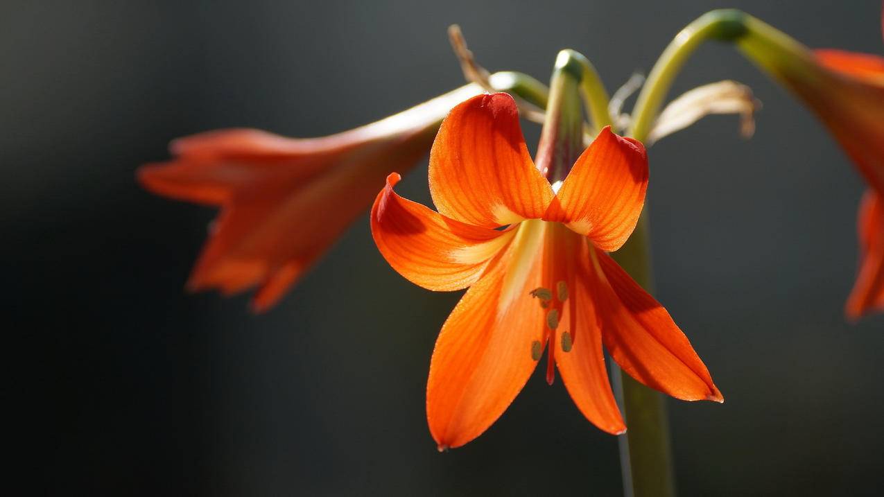 韩国appleid手机号码注册如何绑定邮箱_4s店明明有车为什么还要等 - 韩国苹果id - 55dz账号网