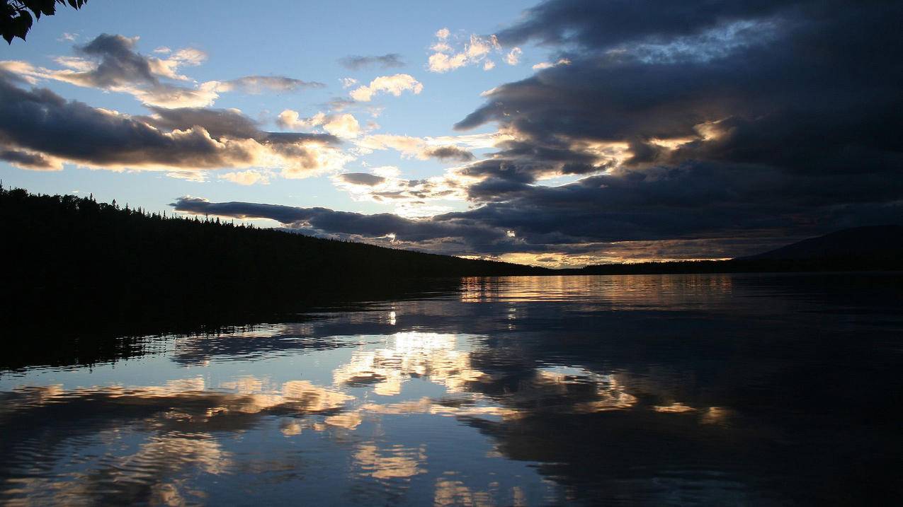 googleplay怎么换设备_googleplay换手机 - google相关 - 55dz账号网