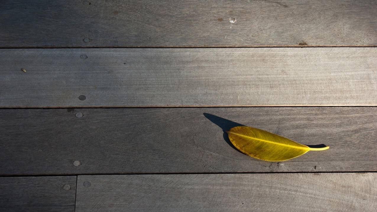 clash不修改_clash不好用了 - clash相关 - 55dz账号网