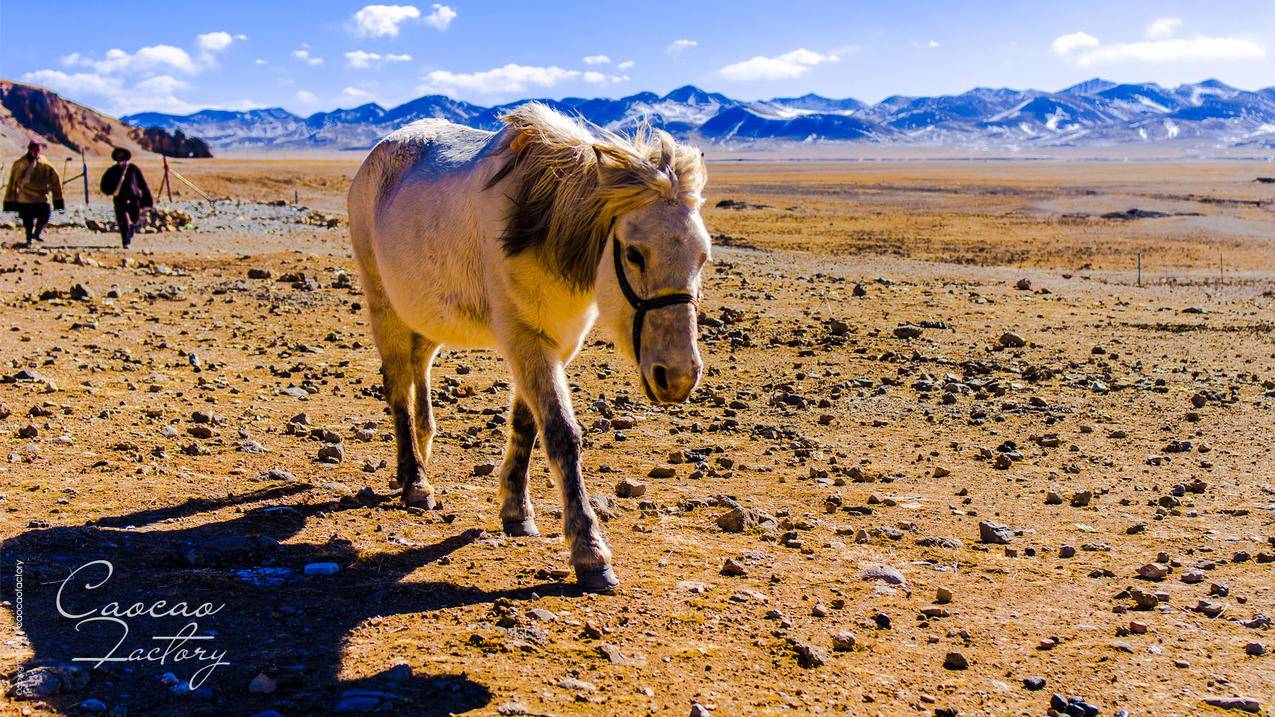 发给gmail的邮件收不到_为什么gmail收不到邮件 - gmail相关 - 55dz账号网