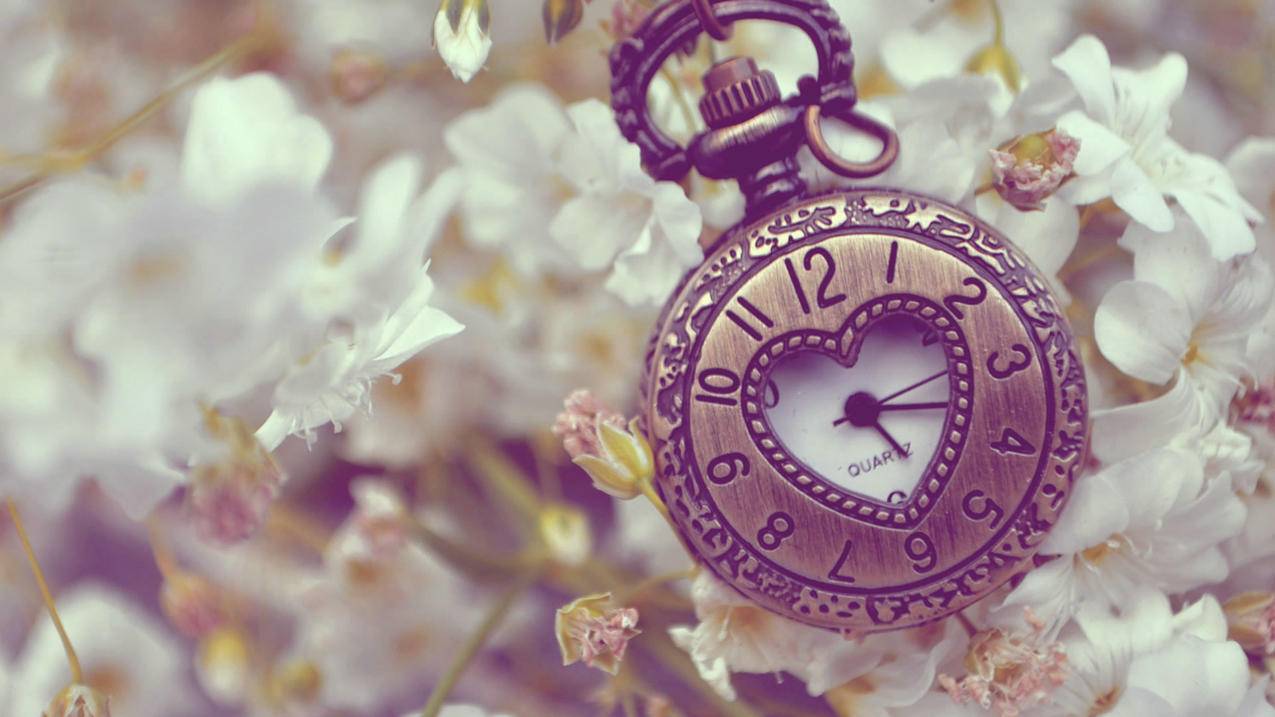 messenger不显示新消息_messenger显示有人发消息,点开没有 - messenger相关 - 55dz账号网