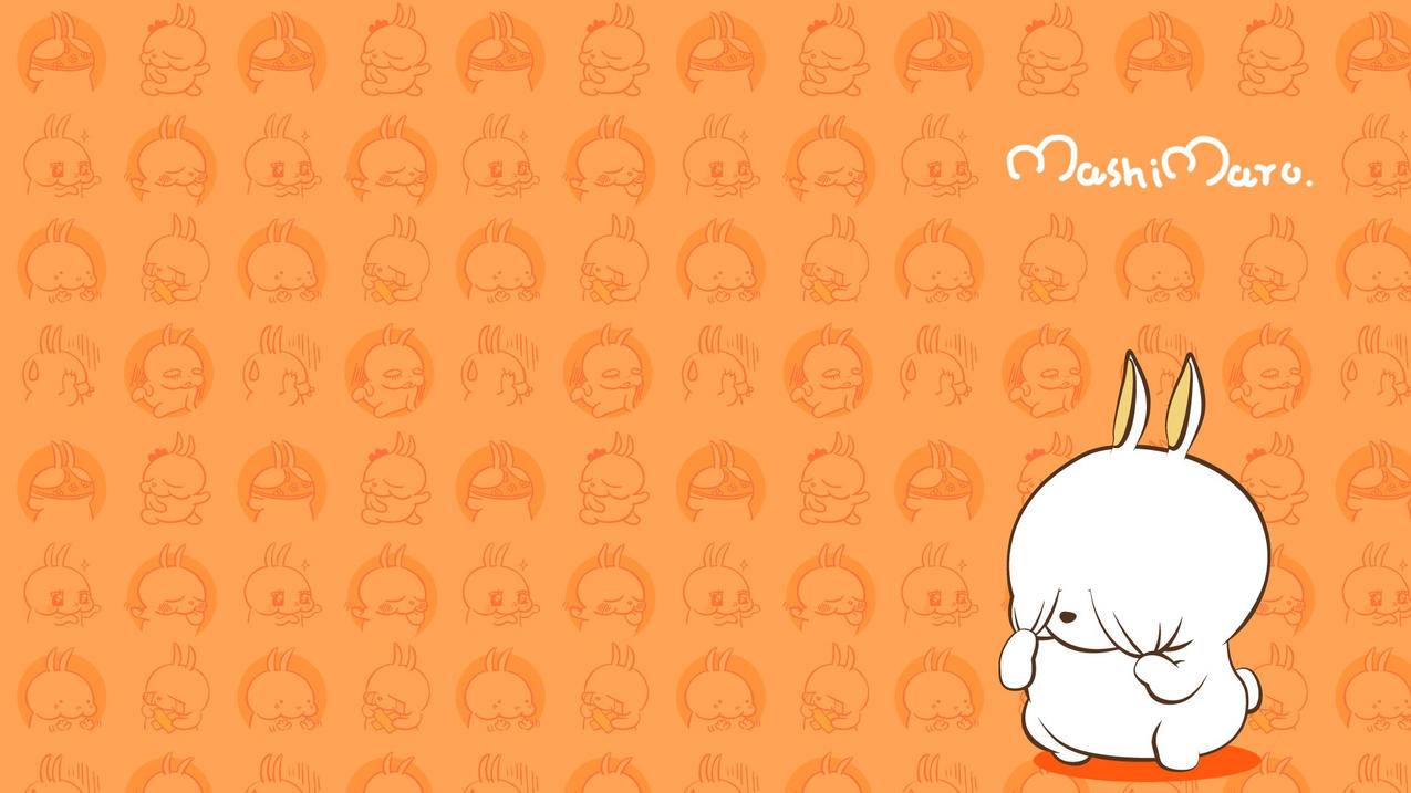 iphone恢复密钥怎么找回? ， 如何启用Apple ID恢复密钥功能  - 55dz账号网