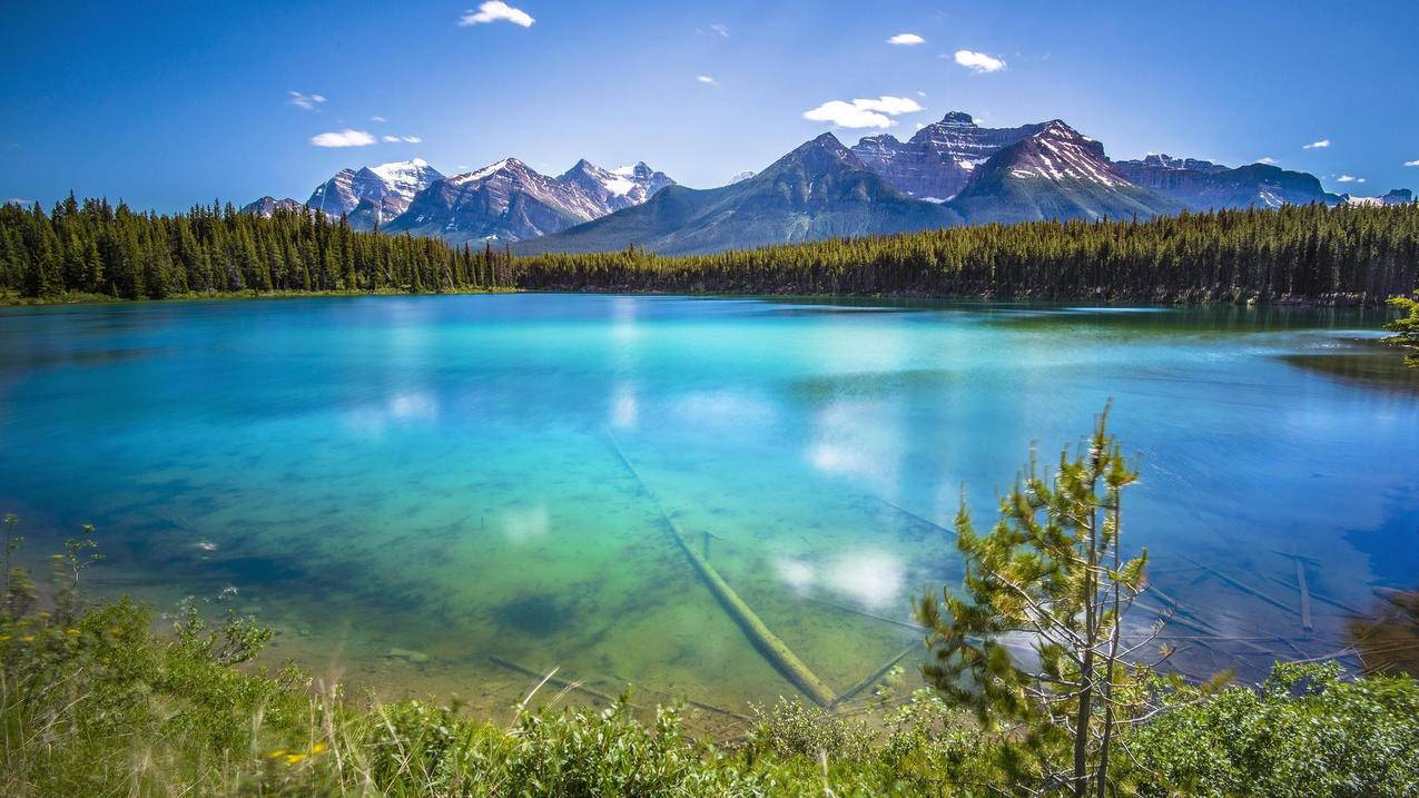 qq空间刷人气软件2015年-QQ刷赞网站全网推广免费,快手粉丝下单秒刷平台便宜,免费QQ空间刷赞大师,球球f宝自助下单平台