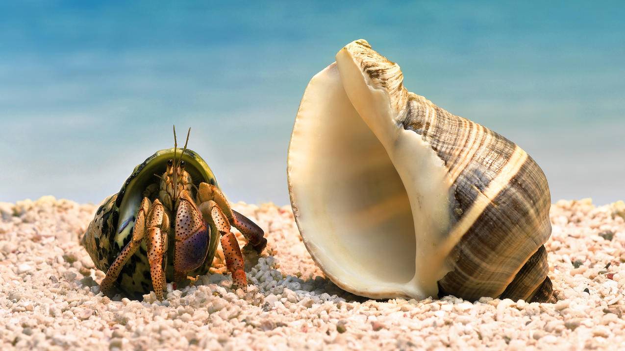 下载ins用了别人的ins美区账号怎么办  ( 美版的苹果手机能用推特嘛 ) - 55dz账号网