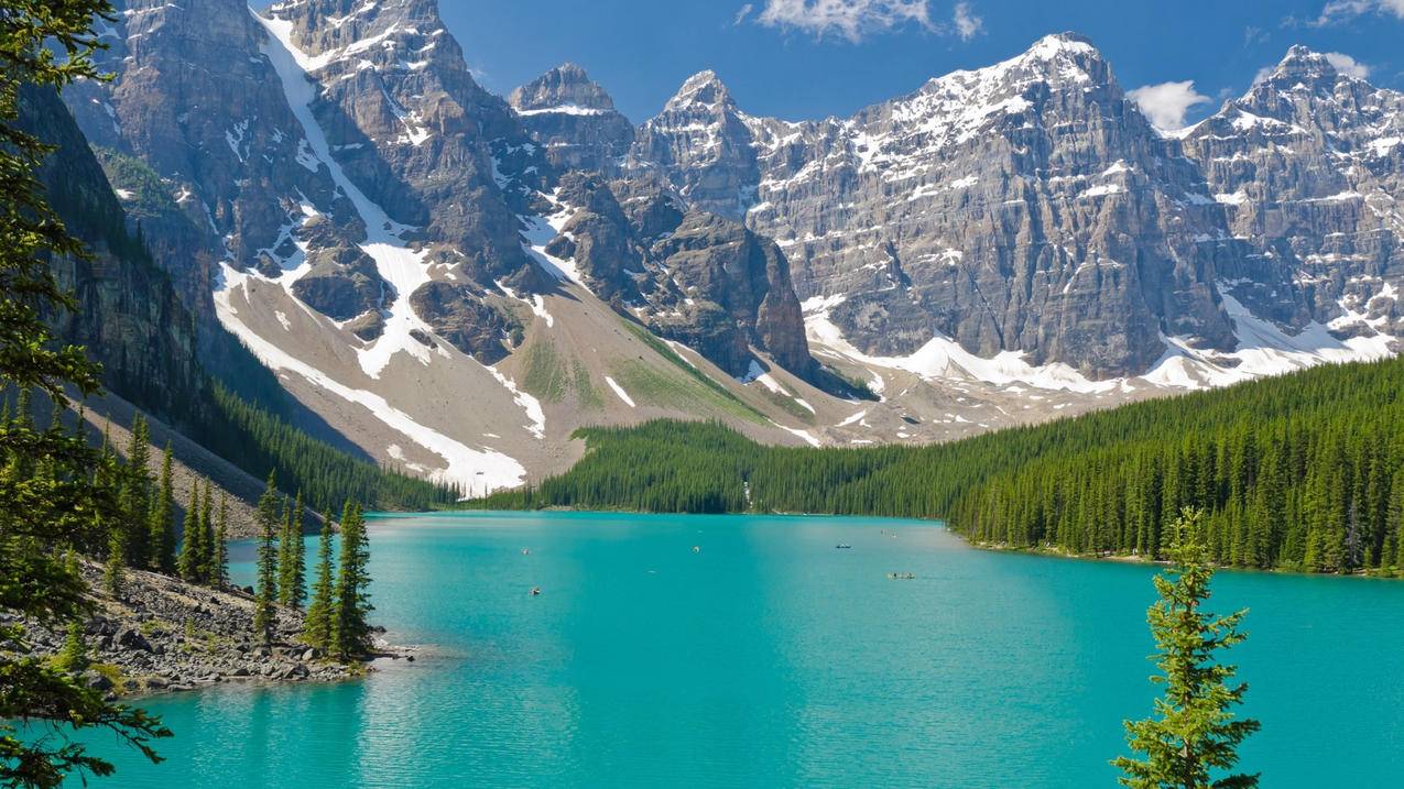 fifaonline4战术板433阵型_fifaonline4战术板4141阵型 - Line相关 - 55dz账号网