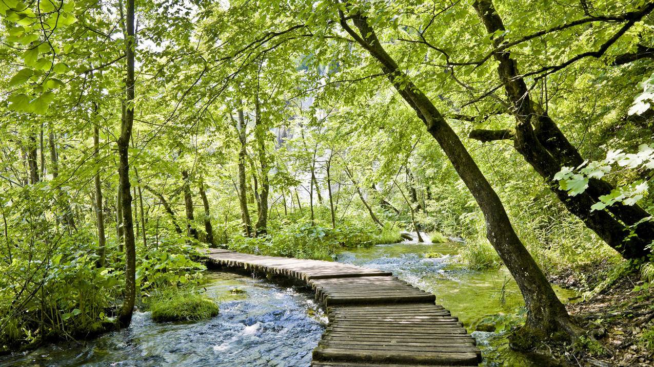 油管奇怪的男人百度云分享_奇怪的男人油管音频资源 - youtube相关 - 55dz账号网