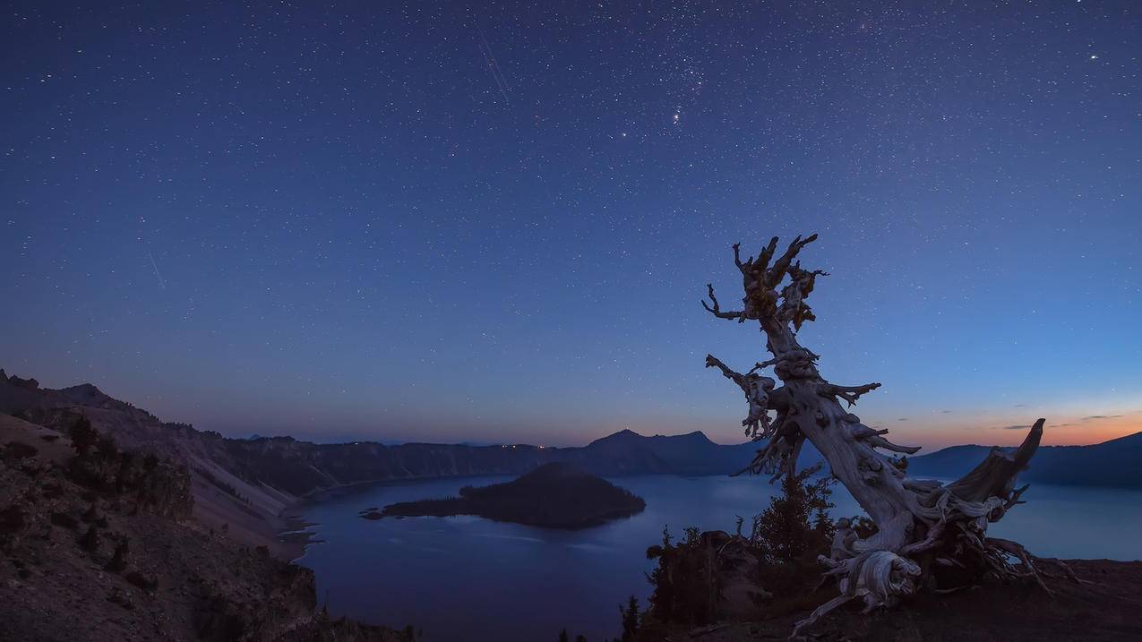 微信视屏号怎么收藏 - 自助平台 - dy业务网