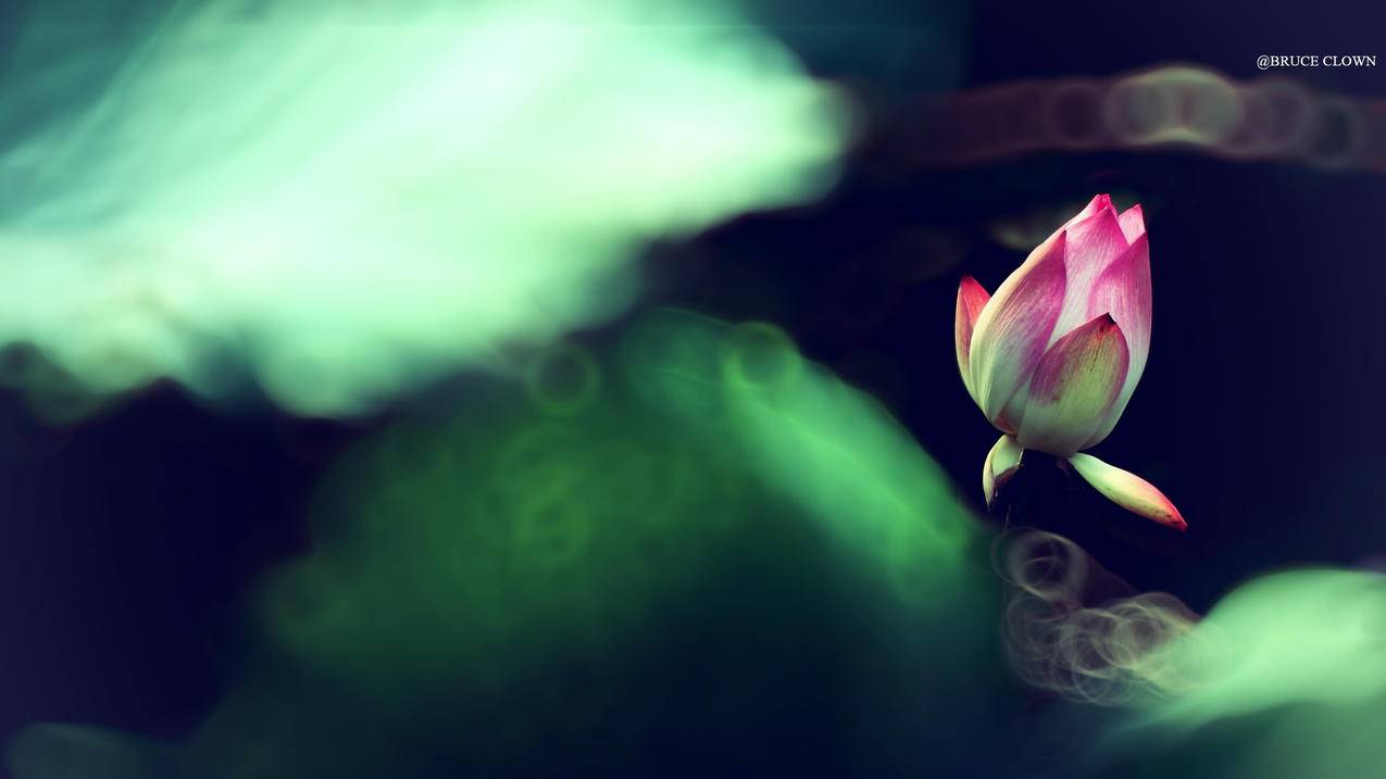 抖音刷赞官网墨言0元刷 - 抖音刷赞刷关注,快手刷赞网站墨,小白快手刷赞