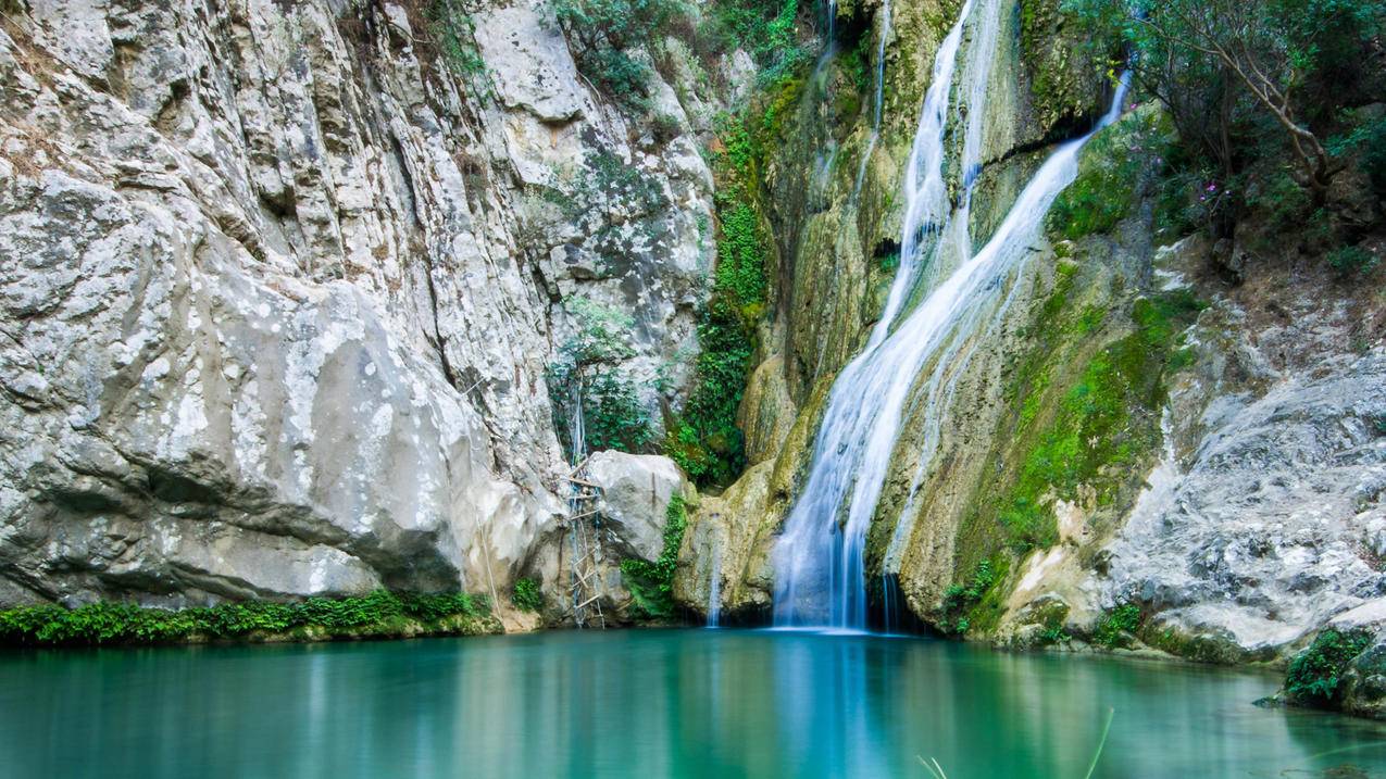 如何购买千川鲤鱼竿呢？ - ks自助下单 - ks业务下单