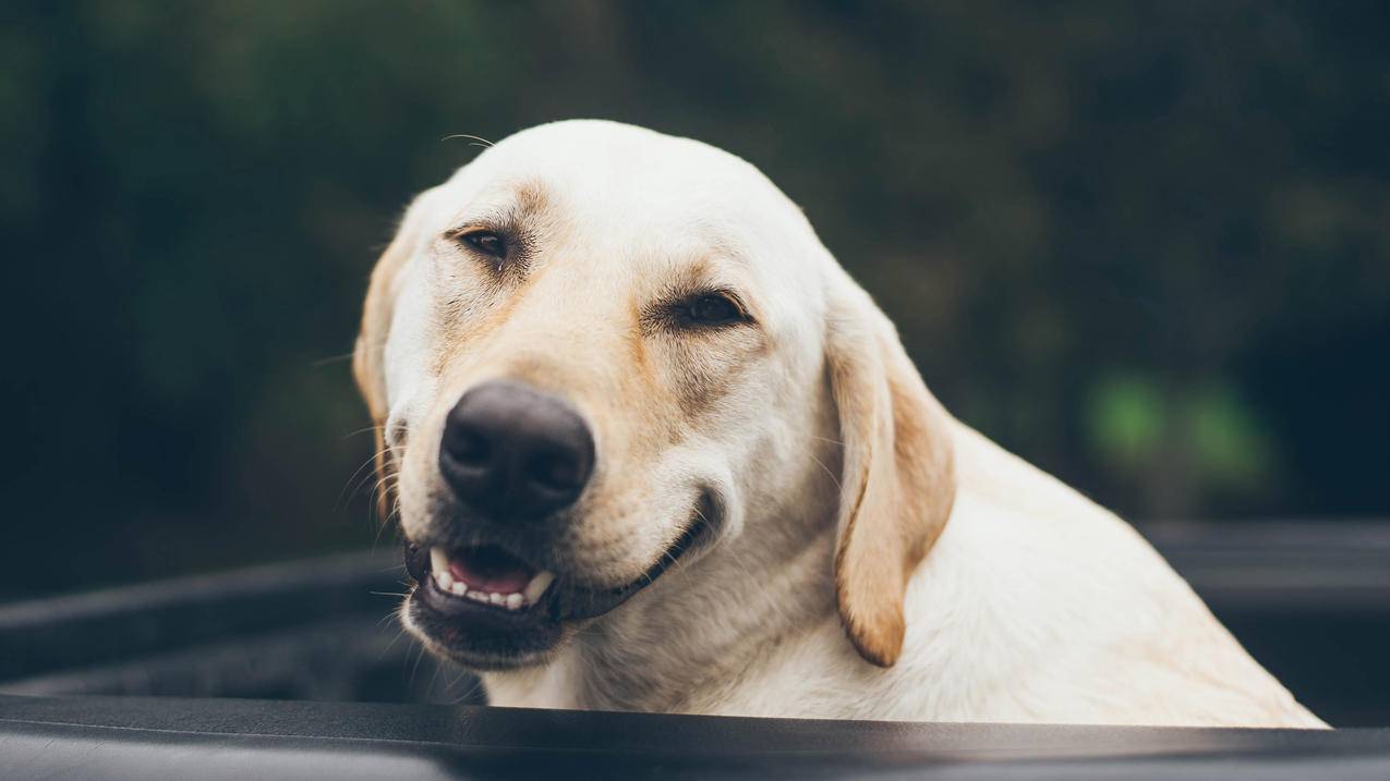 如何利用tiktok赚钱？tiktok赚钱的几种方法-苹果id平台