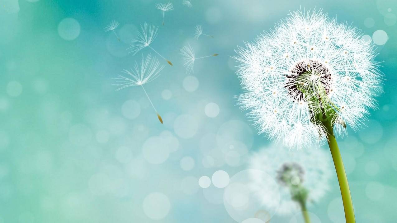 怎么更改苹果id账号留的电话号 ， 苹果id怎么换手机号码  - 55dz账号网