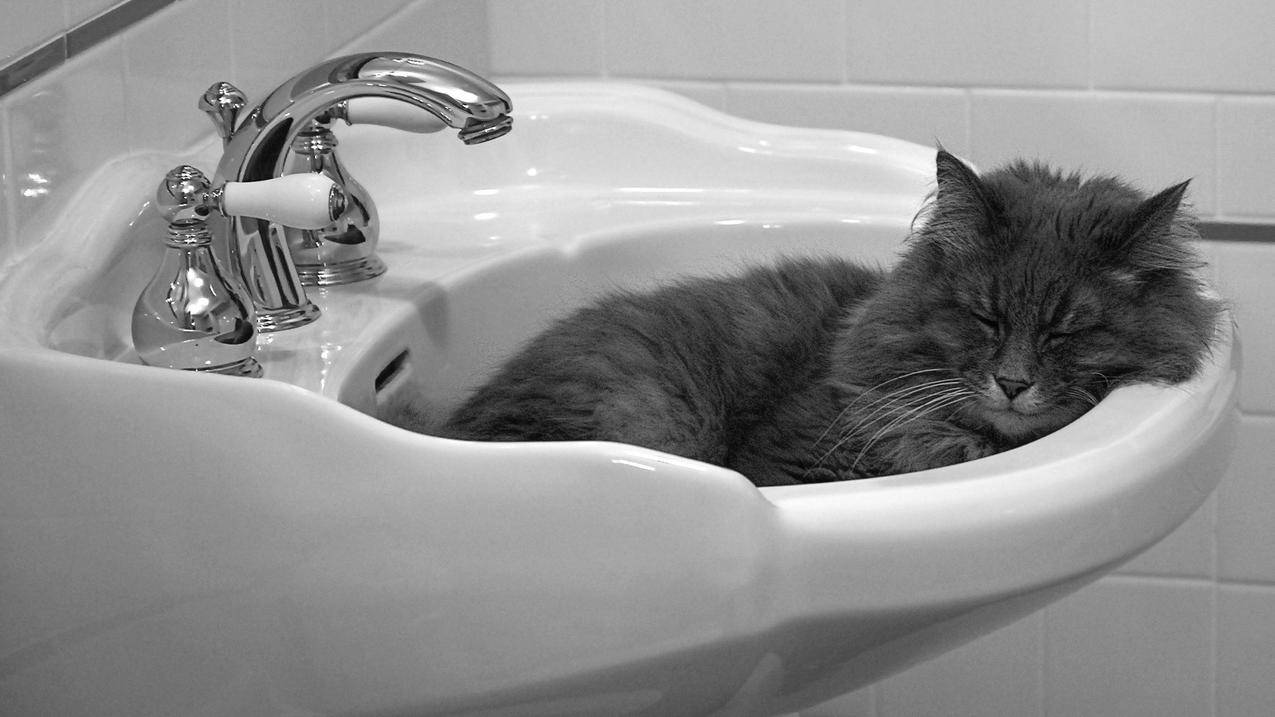 google空间下载安装应用_google空间如何下载软件 - google相关 - 55dz账号网