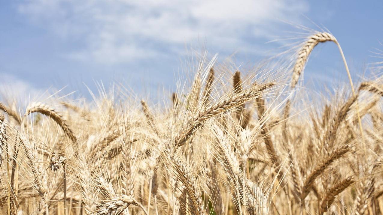 qq业务在线下单便宜 - qq代刷网小七代刷网-快手点赞网