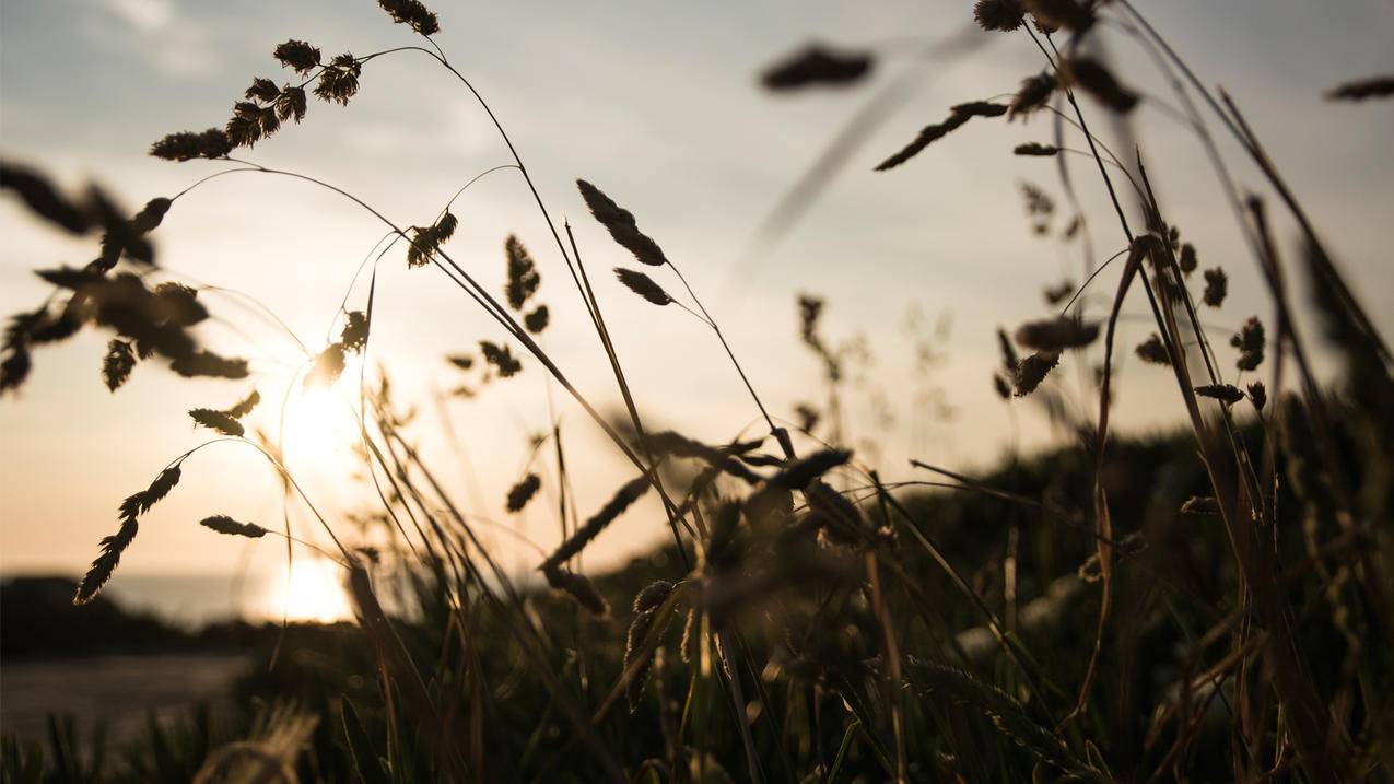 小熊代刷平台网站-qq刷业务平台全网最低价,qq刷赞,刷闲鱼业务