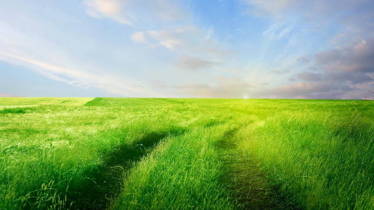 苹果手机id如何注销 ， 苹果官网退货记(超详细的退货流程)  - 55dz账号网