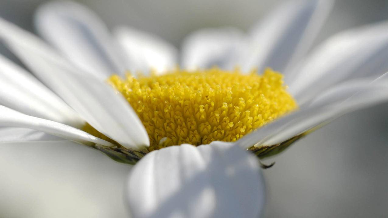 香港appleid更换手机号码Mac_苹果如何更换香港ID - 香港苹果ID - 55dz账号网