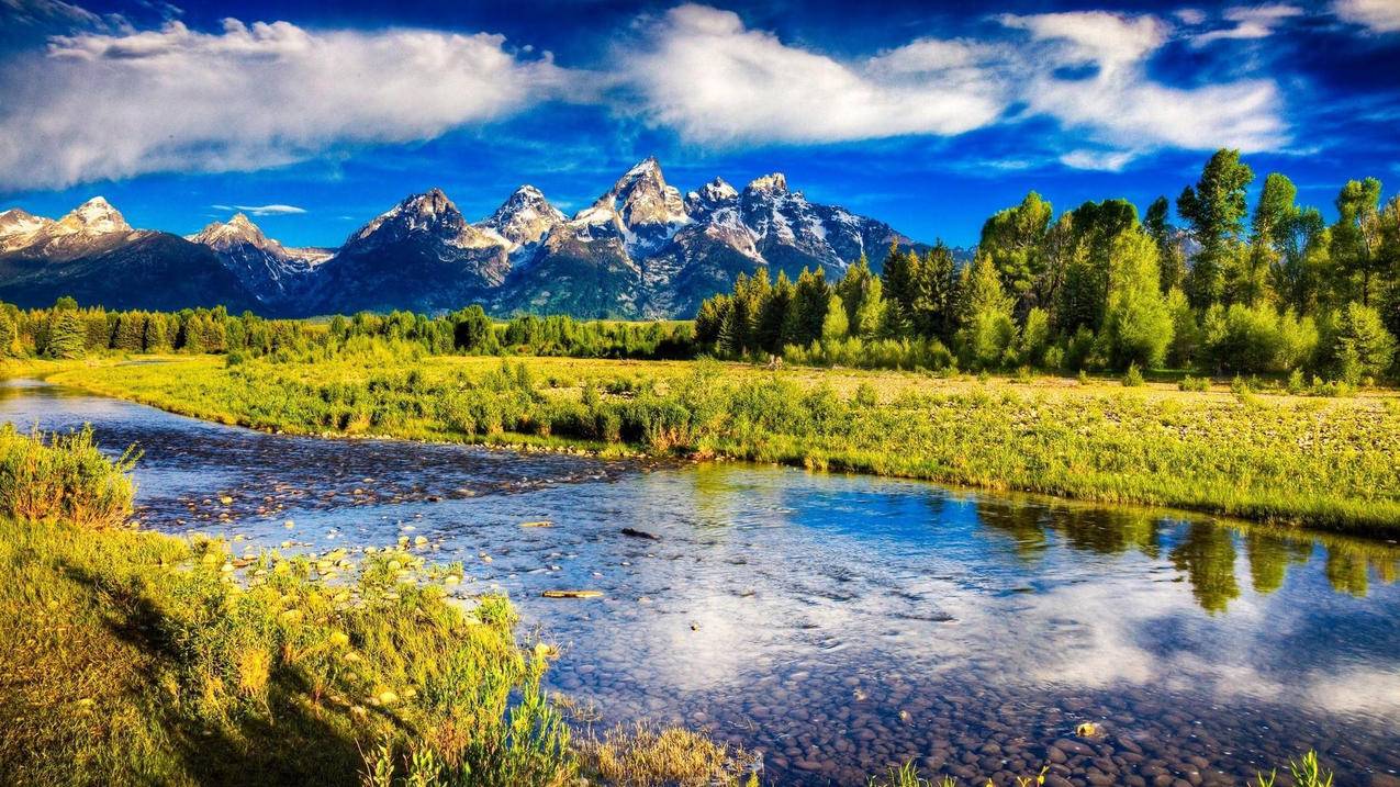 2024苹果台服ID账号分享台湾ios账号[免费使用]_海外账号购买网