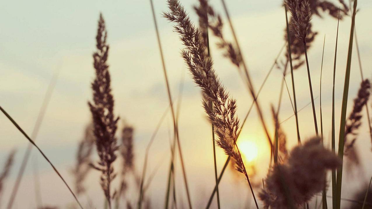 手机怎么登录抖音创作服务平台_手机怎么登录抖音创作服务平台呢 - gmail相关 - 55dz账号网