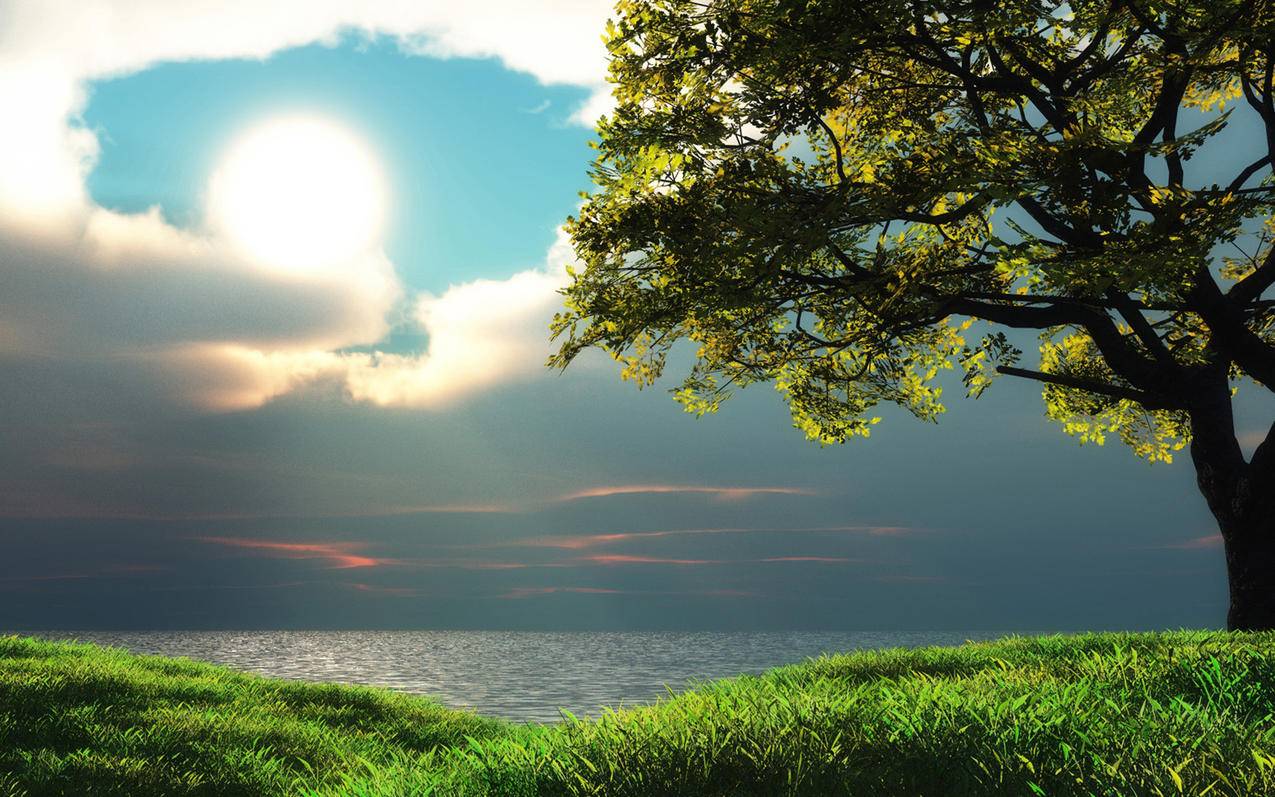 日本appleid姓名电话号码灰色_appleid姓名电话号码电子邮件打不开 - 日本苹果ID - 55dz账号网