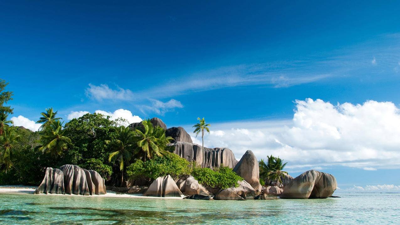 快手业务速刷平台-qq刷全部钻永久,免费领取空间访客量软件,代网刷浏览