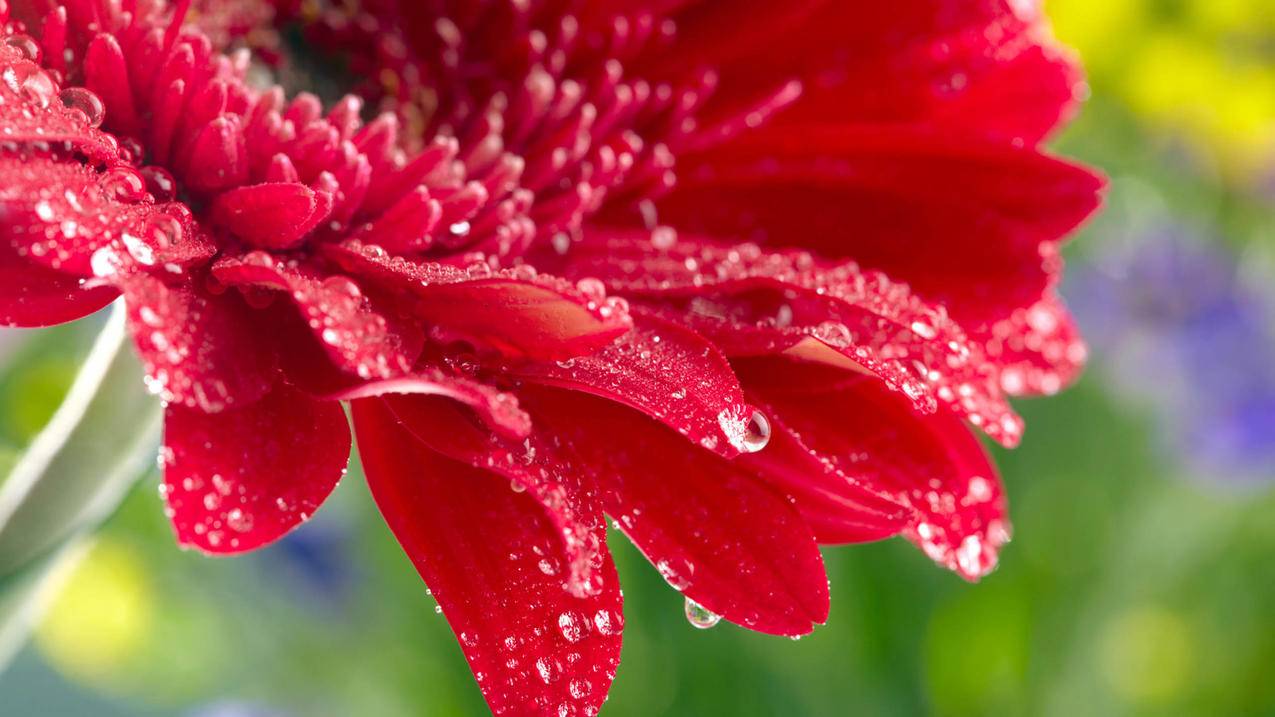 24小时秒单业务平台便宜,快手刷500赞网站,抖音快手刷粉自助下单网站