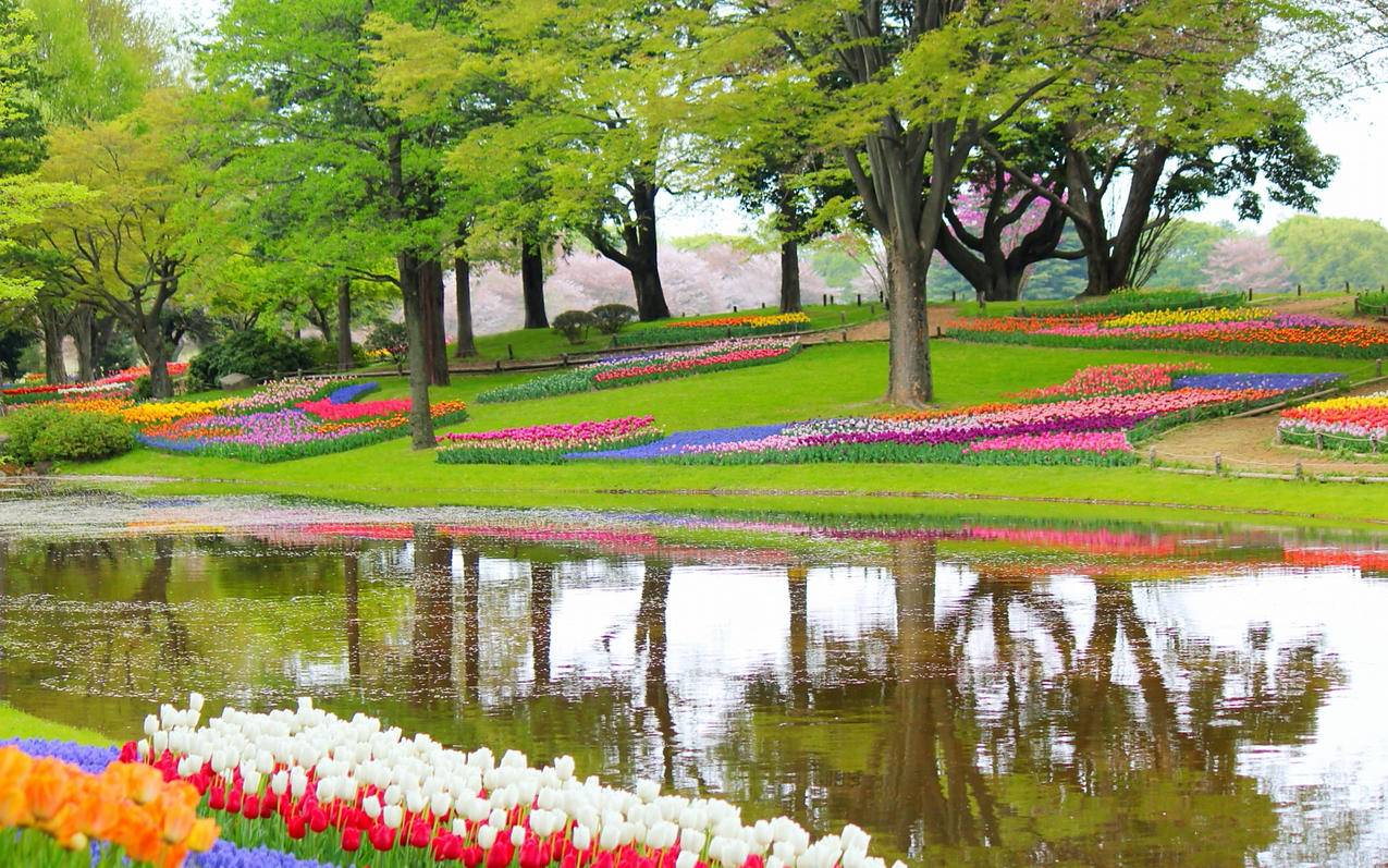 googlechrome应用程序无法启动_Chrome无法启动 - google相关 - 55dz账号网