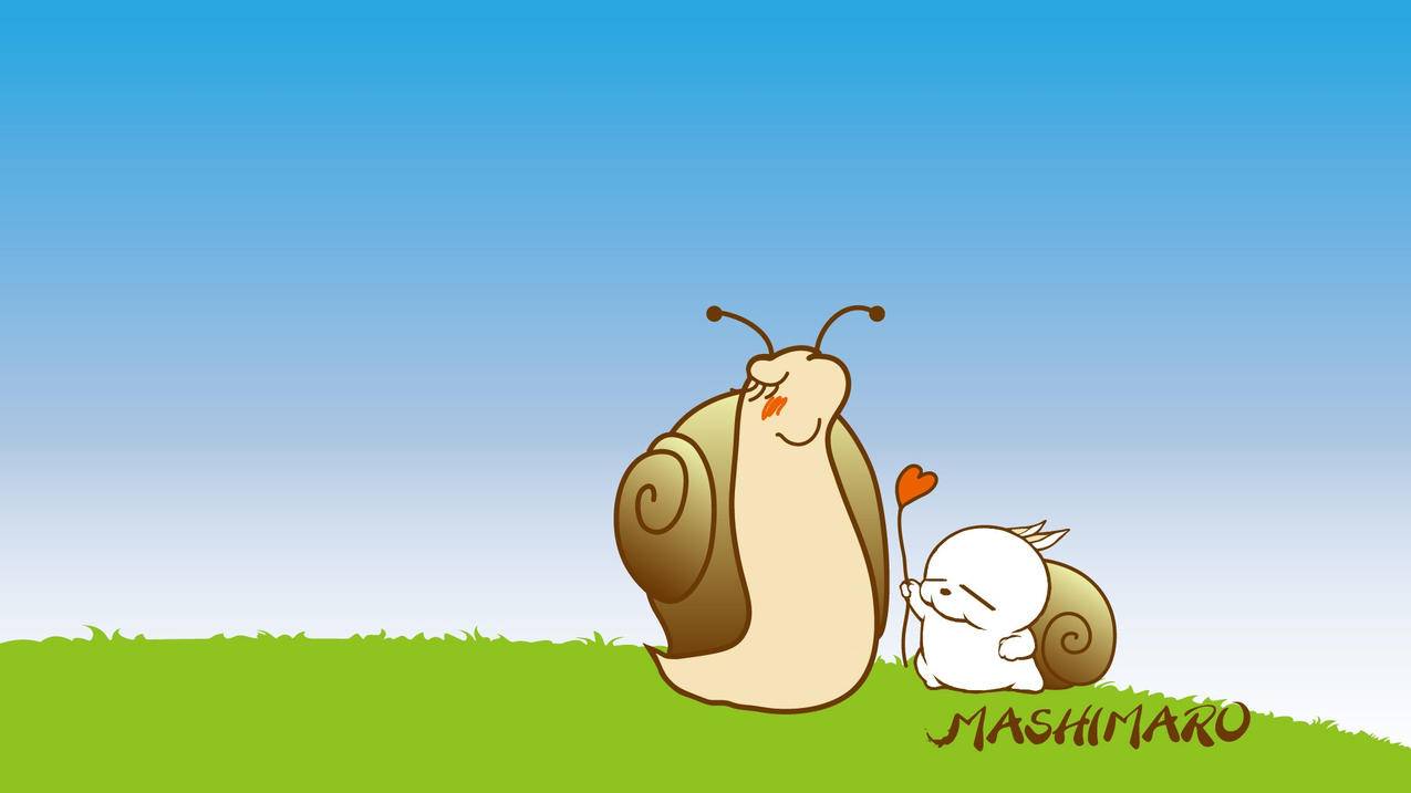 QQ设置了离线怎么看对方在不在线_上怎样看对方在不在线 - messenger相关 - 55dz账号网