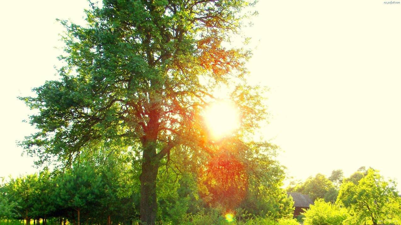 韩国苹果id购买app后怎么支付_苹果怎么注册韩国的APPID - 韩国苹果id - 55dz账号网