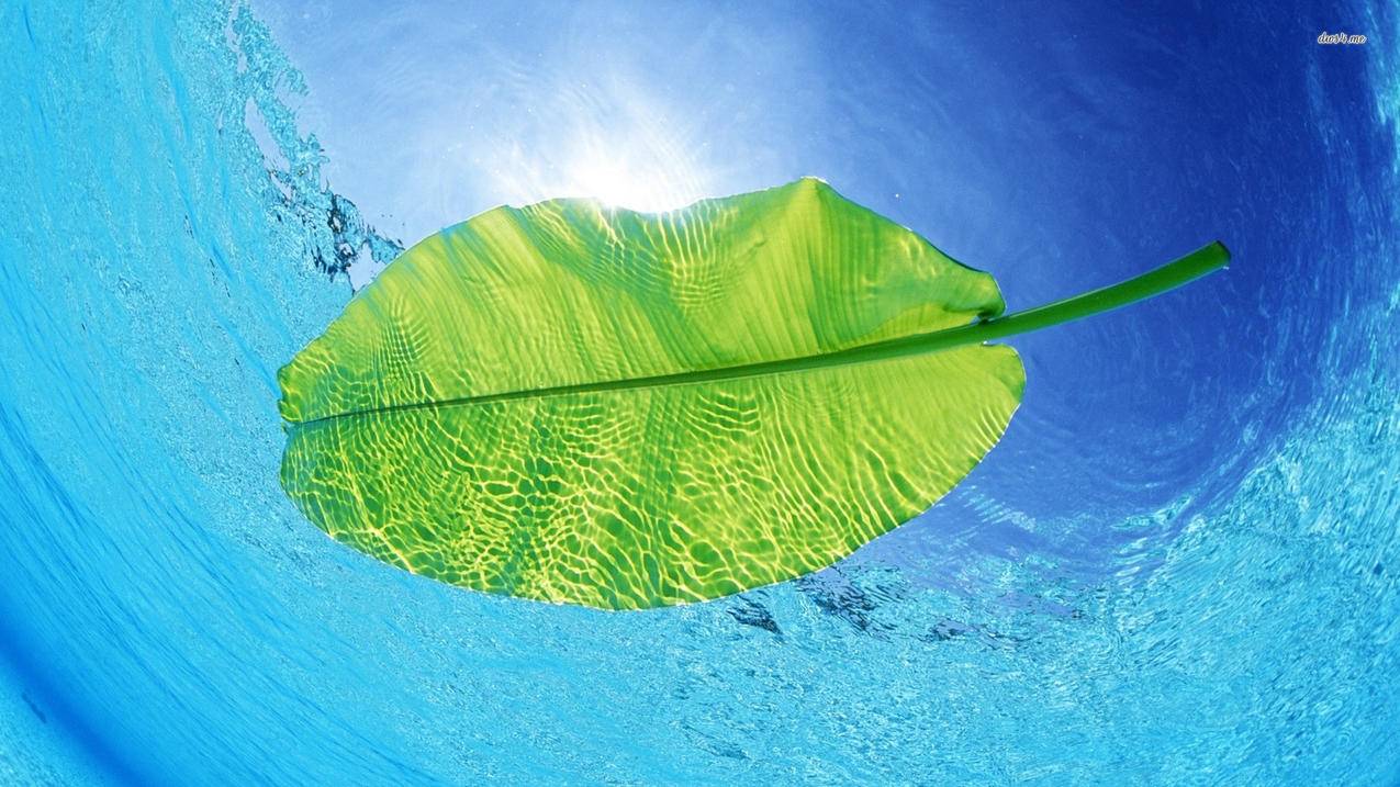 拼多多砍价怎么变成新人-dy业务网