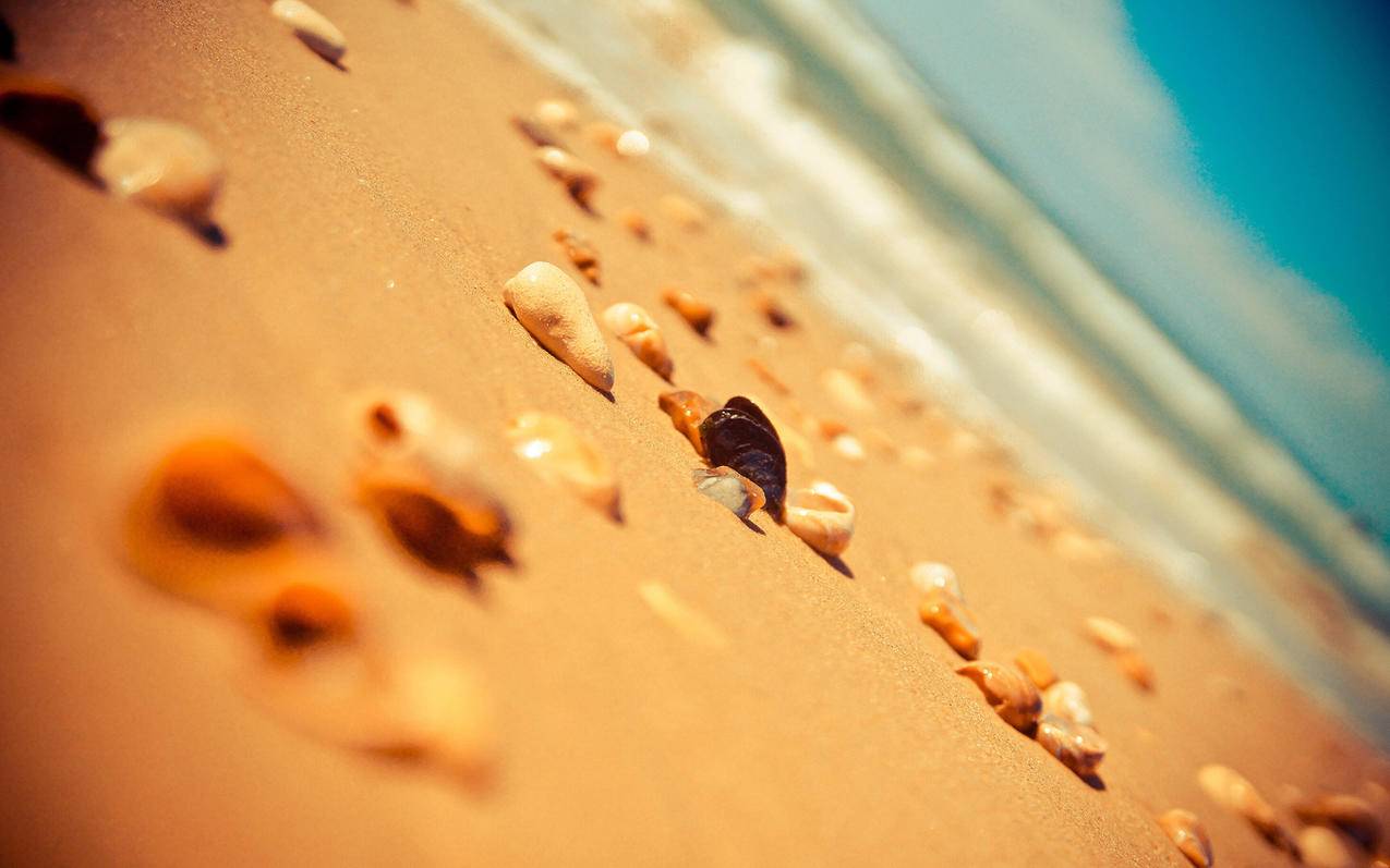 快手刷赞网站全网最便宜 - 1万赞购买平台-快手代刷24小时在线-免费领取快手赞的网址福利