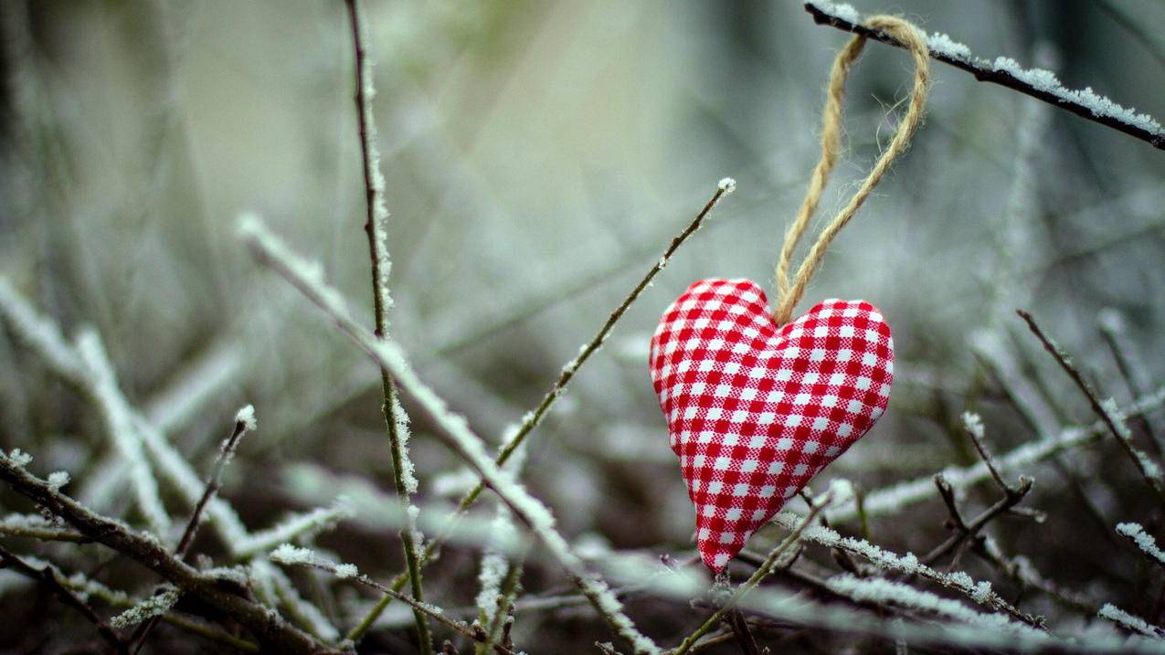 抖币可以买抖音里的商品吗  ( 抖币可以用于购物吗? ) - 55dz账号网