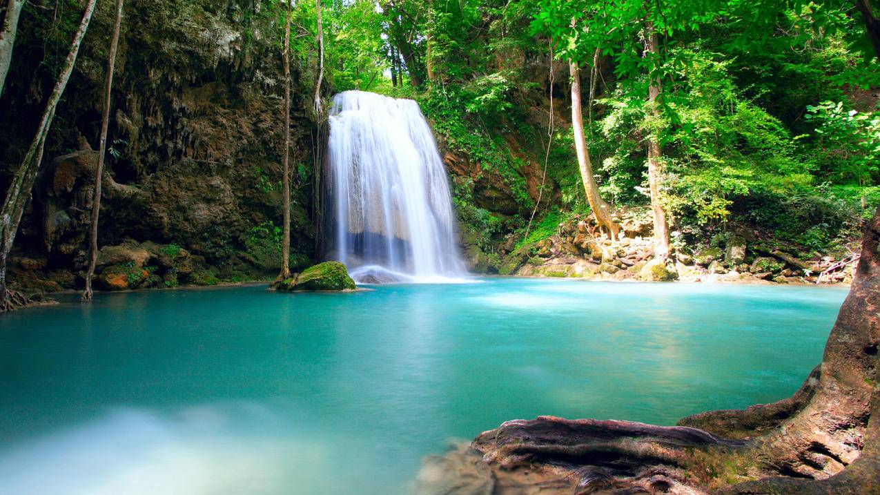 epic绑定的邮箱不能用了怎么办  ( 申请苹果id时电子邮件地址无效是什么问题呢? ) - 55dz账号网