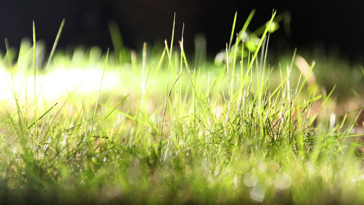 和平精英CDK购买网站 - 王者荣耀主页刷人气_刷赞网免费快手