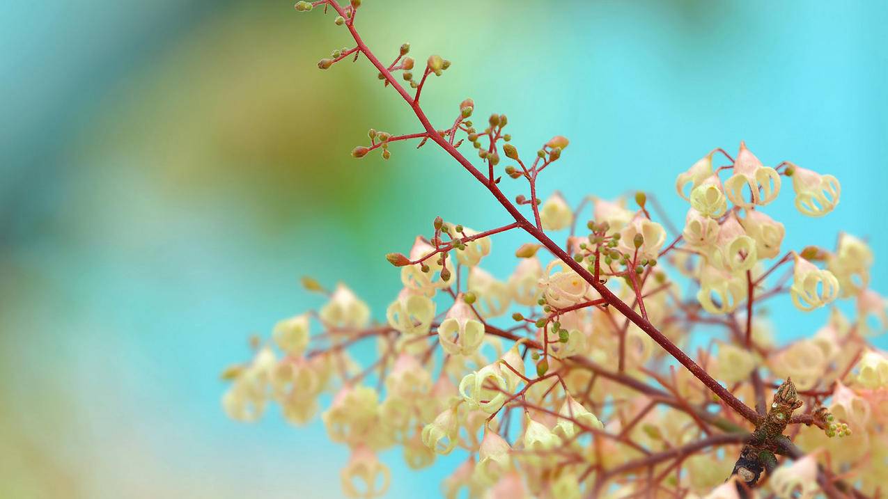 如何有效提升小学生的数学学习兴趣？ - 小学教育 - ks24小时自助