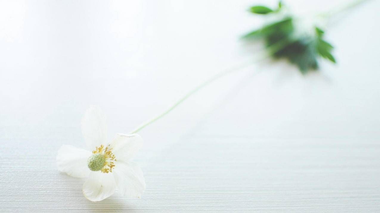 千峰ui设计用什么系统 - ks自助下单 - ks业务下单