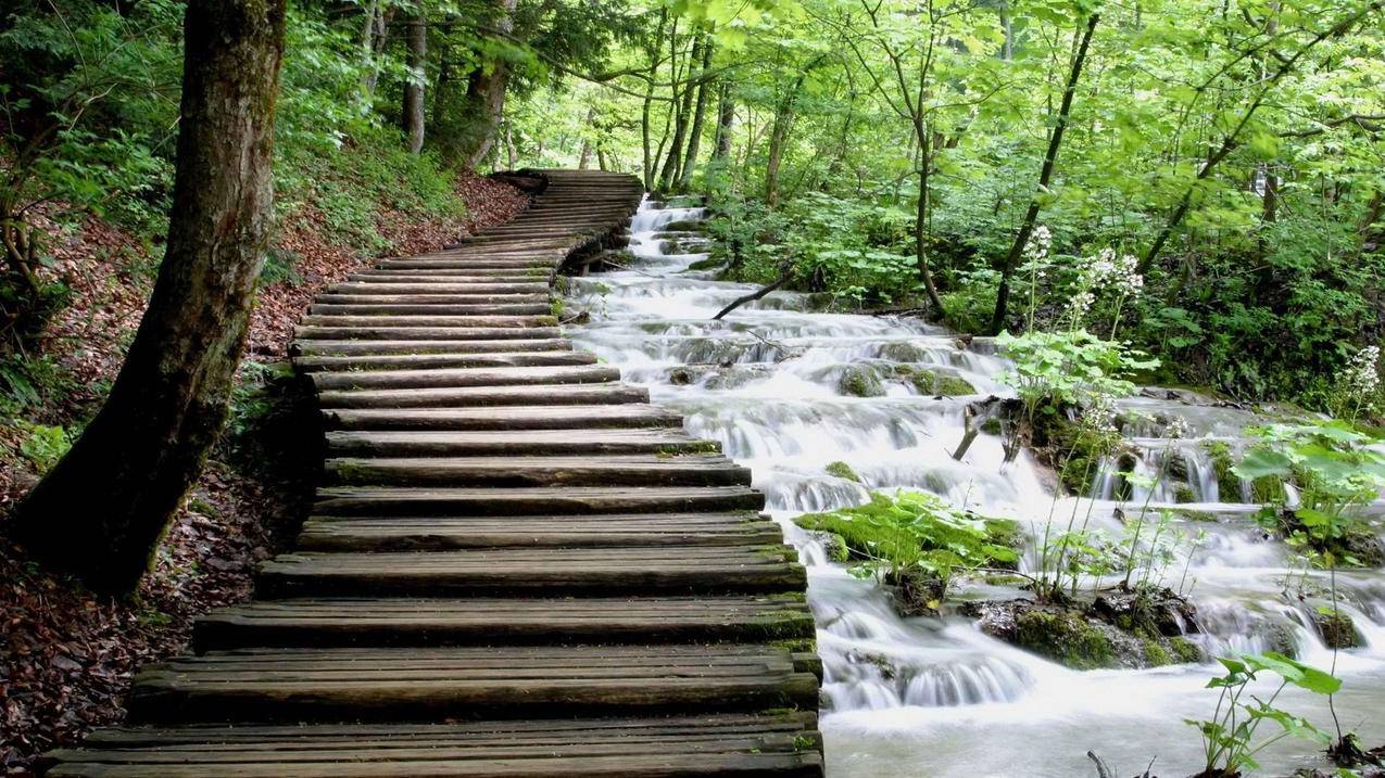 第一次用苹果怎样注册ID,需要注意什么呢? - 知乎 ， 苹果怎么关掉知乎的自动续费  - 55dz账号网