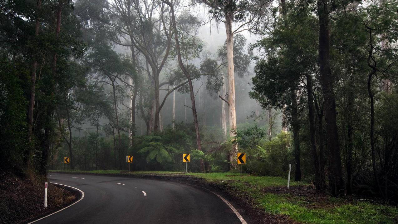 韩国appleid密码格式是怎样的_appleid密码的格式是什么 - 韩国苹果id - 55dz账号网
