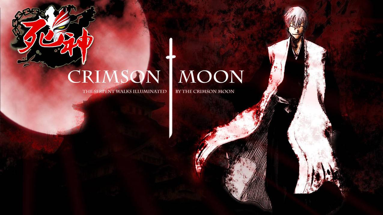 为什么谷歌下载的软件安装不了呢?  ( 谷歌商店 chrome无法下载怎么回事 Chrome应用商店打不开如何修复 ) - 55dz账号网