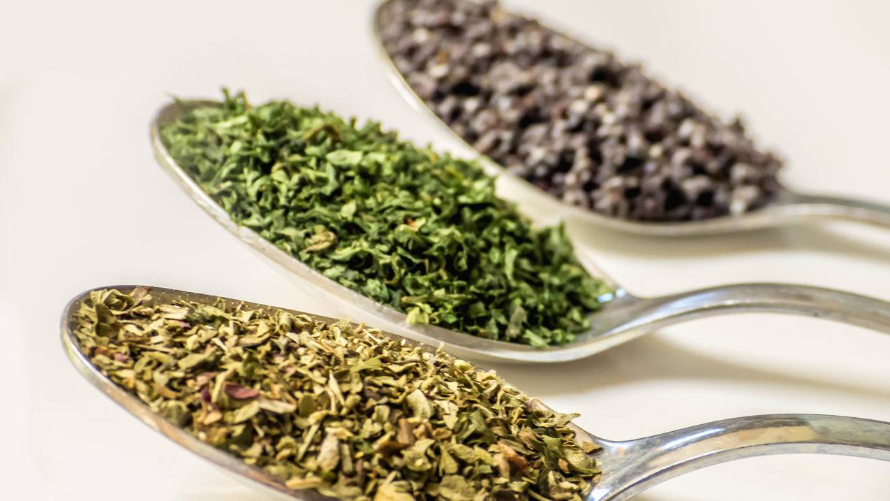 苹果手机如何下载日服赛马娘_苹果日服赛马娘汉化 - 日本苹果ID - 55dz账号网