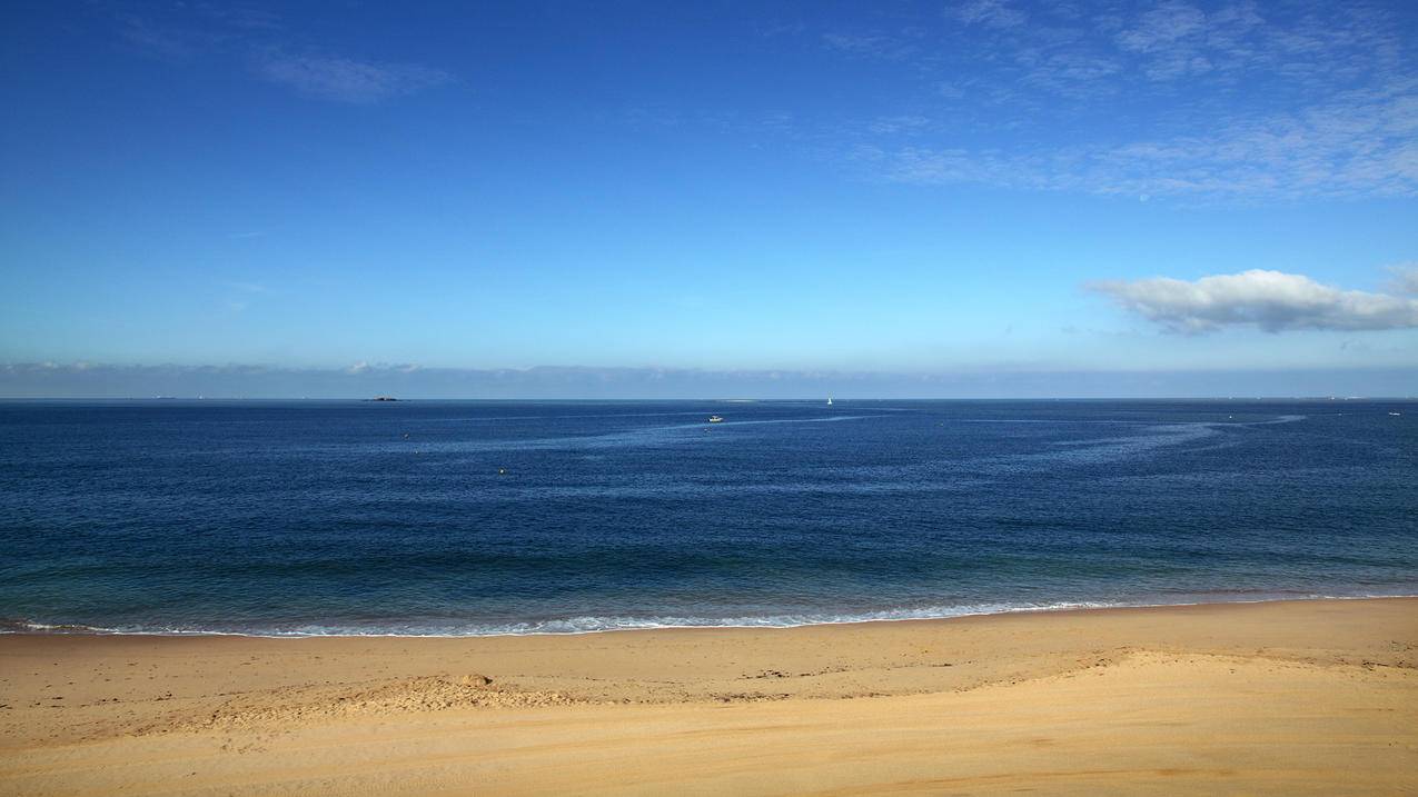 clash加速器免费节点_clash加速器安卓版 - clash相关 - 55dz账号网