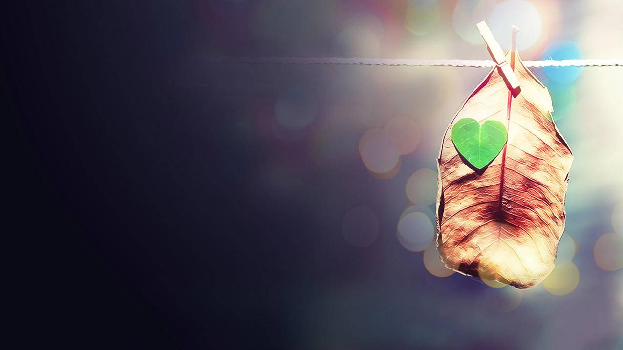 抖音行业角色是什么-dy业务网