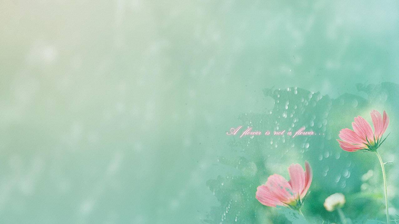 appleid怎么锁定手机_如何锁定iphoneid - Apple ID相关 - 55dz账号网