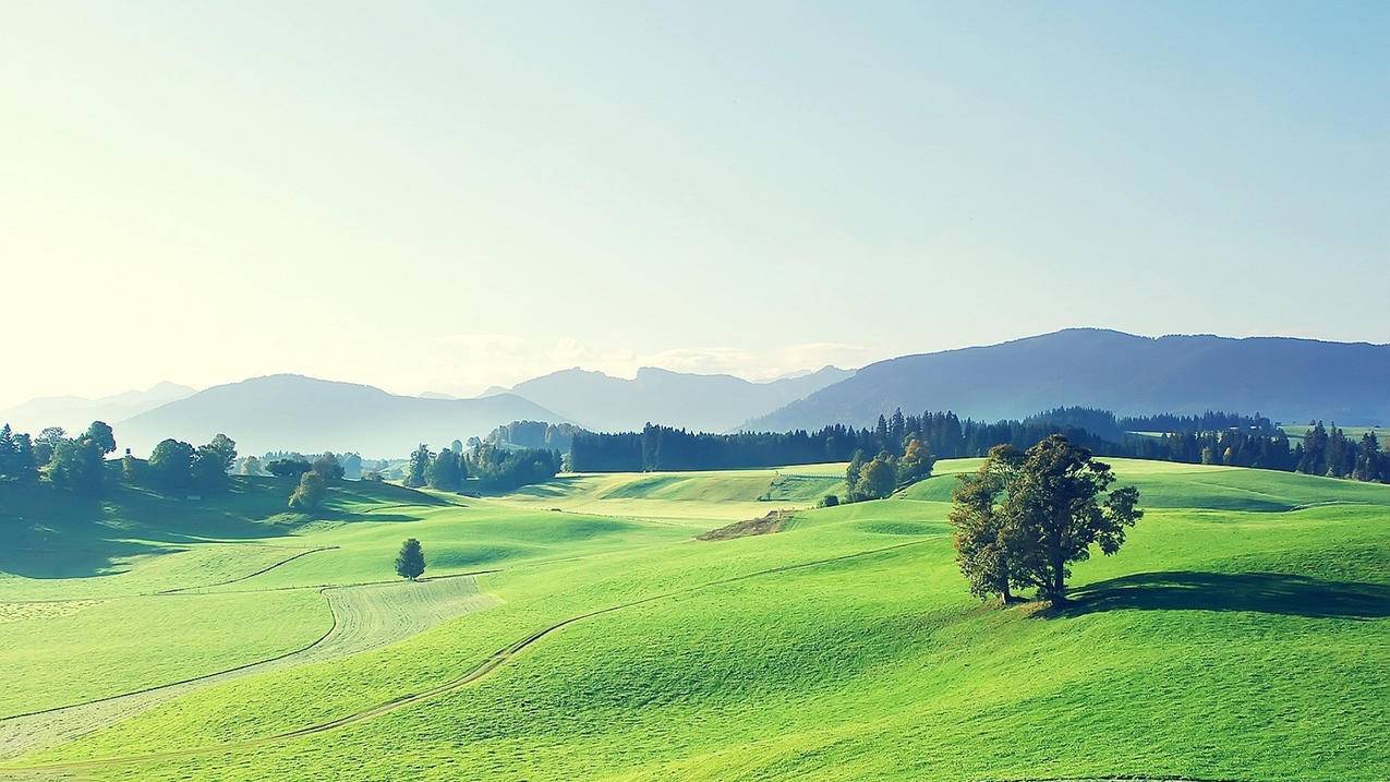 日本苹果id为什么取消不了订阅_日本苹果id为什么取消不了订阅服务 - 日本苹果ID - 55dz账号网